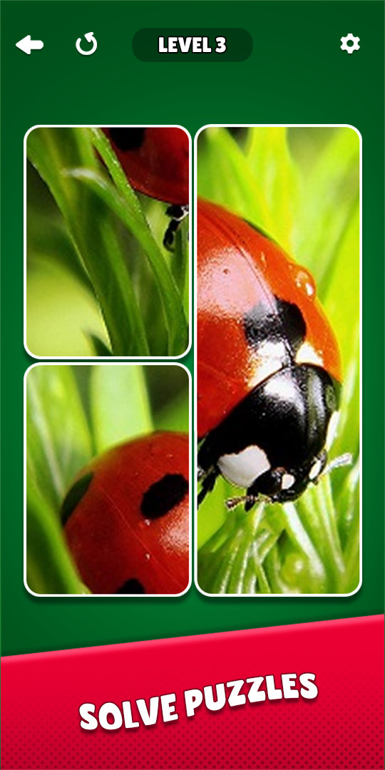 Solitaire Puzzle: Jigsaw Card screenshot
